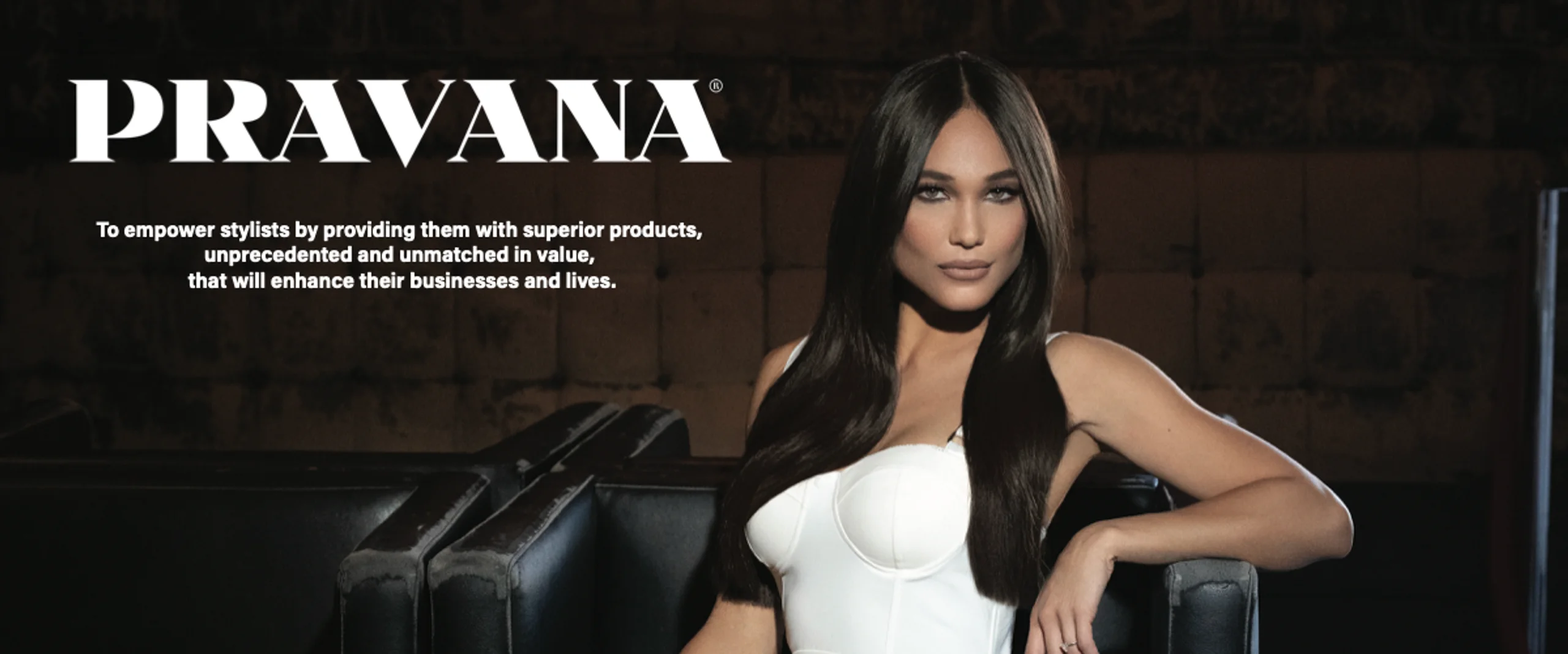 Pravana Artwork Banner